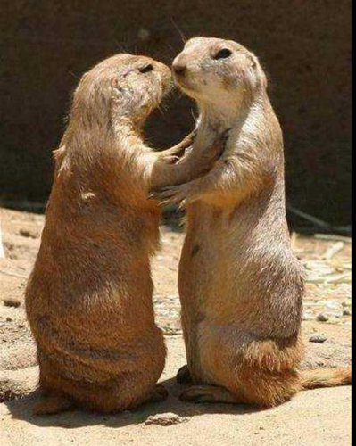 Love you site de rencontre